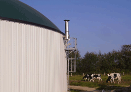 Haase maize anaerobic digester