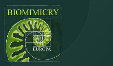 Biomimicry Europa  